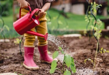 Photo of Want to Build Wealth? Buy a Home This Year.