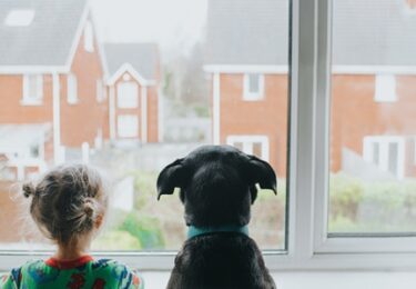 Photo of Are There Going to Be More Homes to Buy This Year?