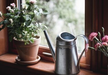 Photo of Is It a Good Time to Sell My House?