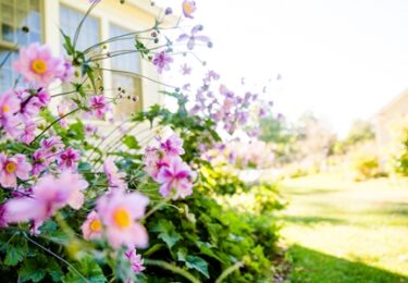 Photo of Will the Housing Market Bloom This Spring?