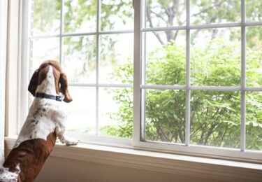 Photo of Is It Time To Move on to a New Home?