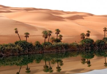 Photo of Sellers: Your House Could Be an Oasis for Buyers Seeking More Options