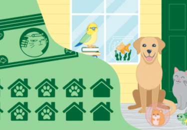 Photo of A Happy Tail: Pets and the Homebuying Process [INFOGRAPHIC]