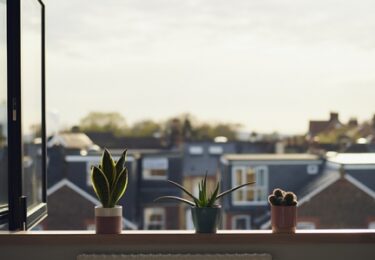 Photo of Why a Move Could Bring You More Happiness This Year