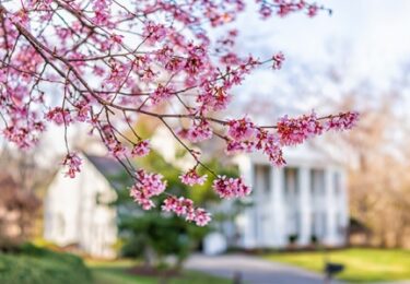 Photo of This Spring Presents Sellers with a Golden Opportunity