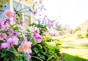 Photo of Homebuyer Activity Shows Signs of Warming Up for Spring