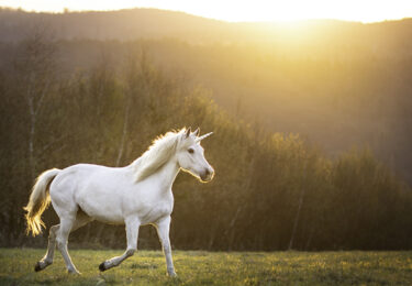 Photo of Today’s Real Estate Market: The ‘Unicorns’ Have Galloped Off