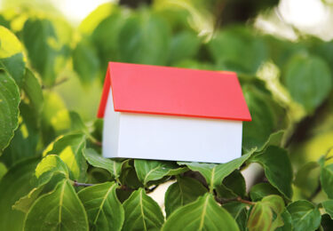 Photo of Foreclosure Numbers Today Aren’t Like 2008