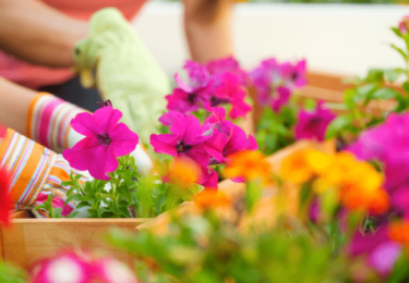 Photo of 4 Things To Expect from the Spring Housing Market